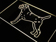 Border Terrier LED Light Sign - LED Gift Works