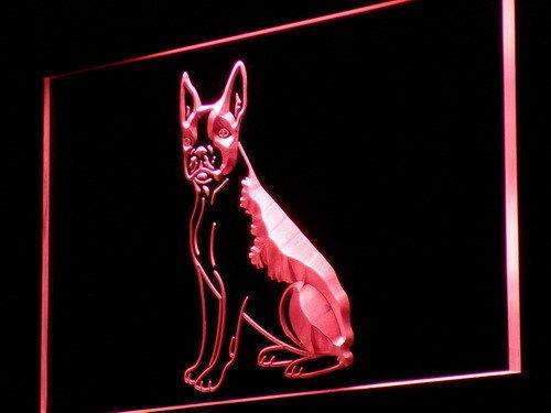 Boston Terrier Dog LED Light Sign - LED Gift Works