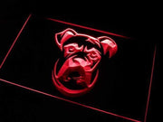 Boxer Dog Head LED Light Sign - LED Gift Works
