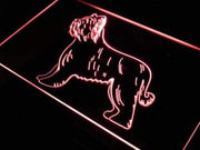 Briard Dog LED Light Sign - LED Gift Works