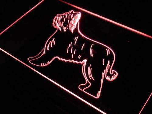Briard Dog LED Light Sign - LED Gift Works