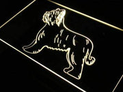 Briard Dog LED Light Sign - LED Gift Works
