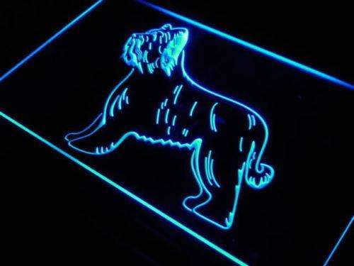 Briard Dog LED Light Sign - Way Up Gifts