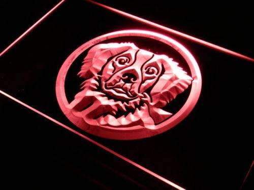 Brittany Spaniel Dog LED Light Sign - LED Gift Works