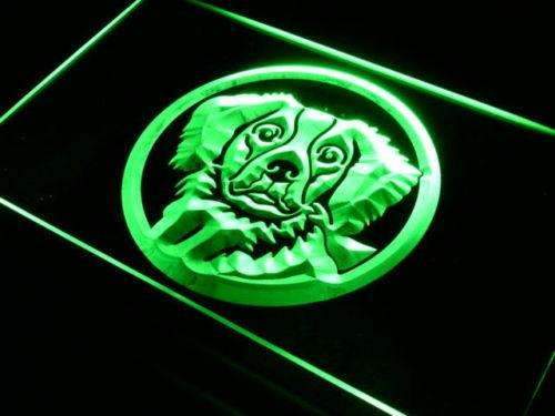 Brittany Spaniel Dog LED Light Sign - LED Gift Works