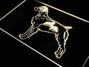 Brittany Spaniel Dog Pet LED Light Sign - LED Gift Works