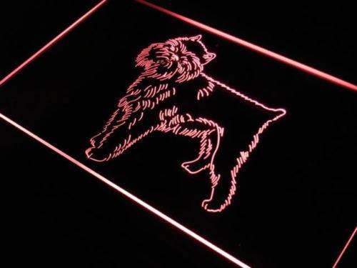 Brussels Griffon Dog LED Light Sign - LED Gift Works