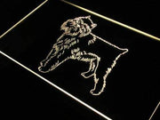 Brussels Griffon Dog LED Light Sign - LED Gift Works