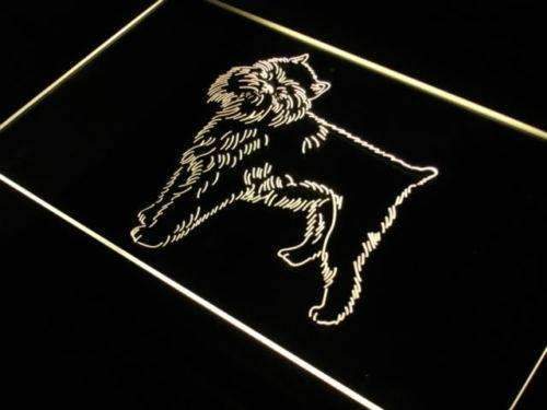Brussels Griffon Dog LED Light Sign - LED Gift Works