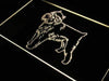 Brussels Griffon Dog LED Light Sign - Way Up Gifts