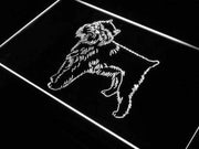 Brussels Griffon Dog LED Light Sign - LED Gift Works