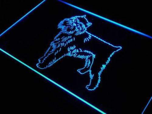 Brussels Griffon Dog LED Light Sign - LED Gift Works