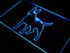 Bull Terrier LED Light Sign - Way Up Gifts