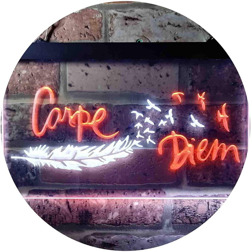 Carpe Diem Seize The Day LED Light Sign - LED Gift Works