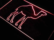 Camel LED Light Sign - LED Gift Works