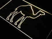 Camel LED Light Sign - LED Gift Works