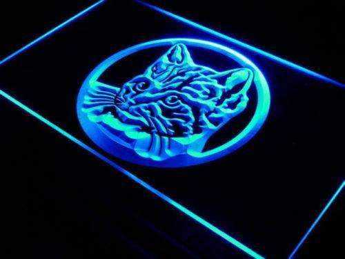 Cat Kitty LED Light Sign - Way Up Gifts