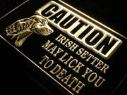 Caution Irish Setter LED Light Sign - LED Gift Works