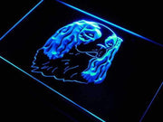 Cavalier King Charles Spaniel Decor LED Light Sign - LED Gift Works