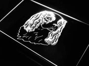 Cavalier King Charles Spaniel Decor LED Light Sign - LED Gift Works