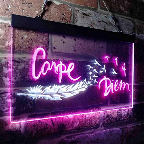 Carpe Diem Seize The Day LED Light Sign - LED Gift Works