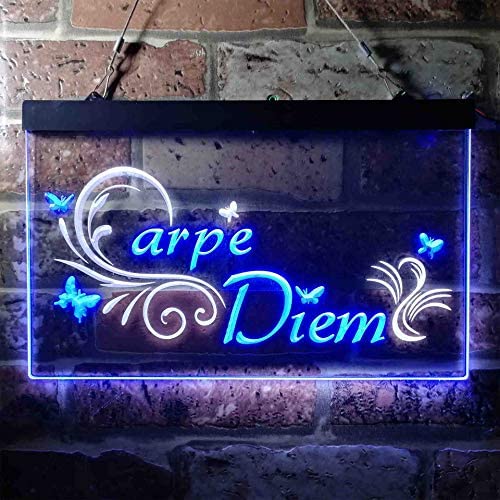 Carpe Diem Seize The Day Bedroom Quote LED Light Sign - LED Gift Works