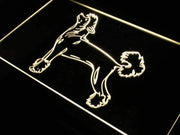 Chinese Crested Dog LED Light Sign - LED Gift Works