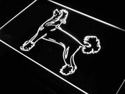 Chinese Crested Dog LED Light Sign - LED Gift Works