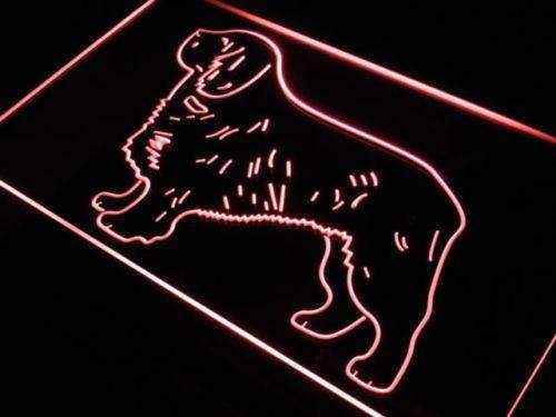 Clumber Spaniel LED Light Sign - Way Up Gifts