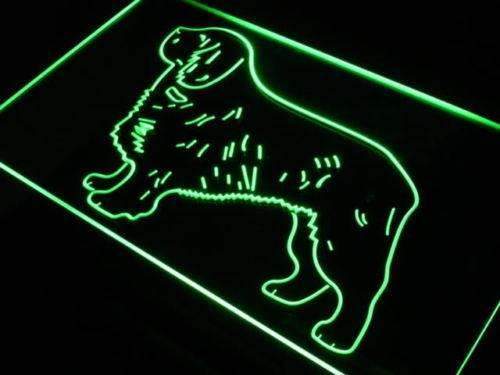 Clumber Spaniel LED Light Sign - Way Up Gifts