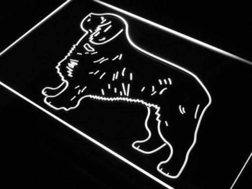 Clumber Spaniel LED Light Sign - Way Up Gifts