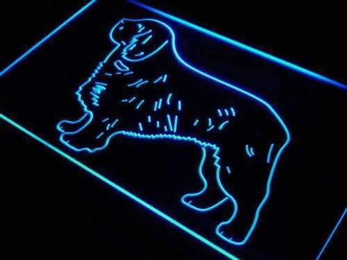 Clumber Spaniel LED Light Sign - LED Gift Works