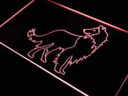Collie Dog LED Light Sign - LED Gift Works