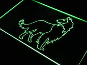 Collie Dog LED Light Sign - LED Gift Works