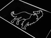 Collie Dog LED Light Sign - LED Gift Works