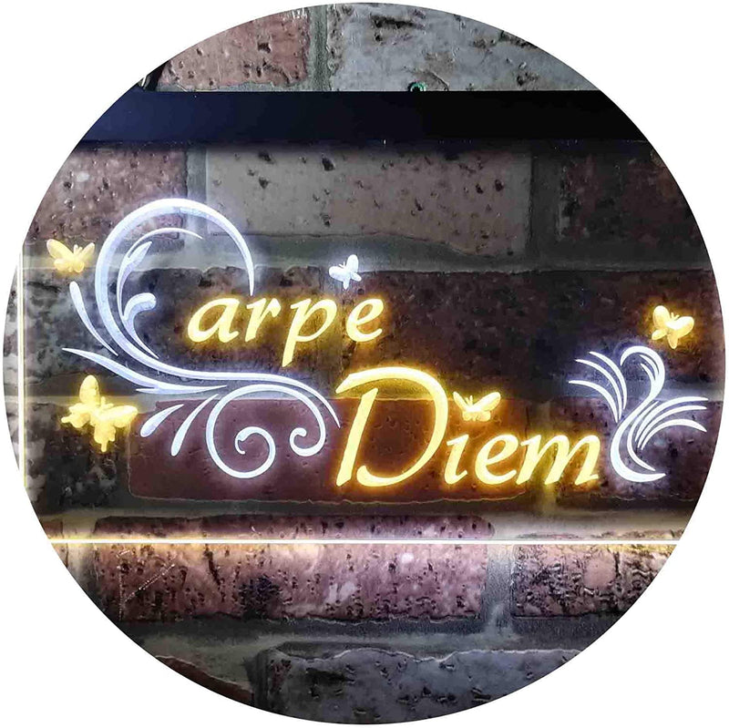Carpe Diem Seize The Day Bedroom Quote LED Light Sign - LED Gift Works