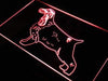 English Cocker Spaniel LED Light Sign - Way Up Gifts