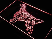 English Setter LED Light Sign - LED Gift Works
