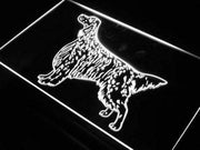 English Setter LED Light Sign - LED Gift Works