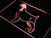 English Springer Spaniel LED Light Sign - Way Up Gifts