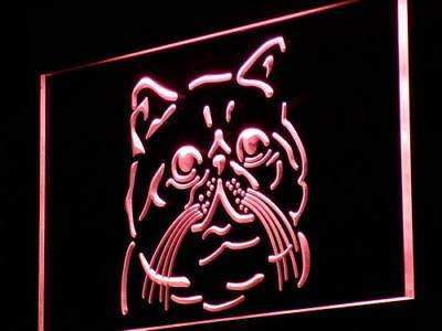 Exotic Shorthair Cat LED Light Sign - LED Gift Works
