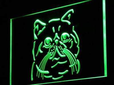 Exotic Shorthair Cat LED Light Sign - LED Gift Works