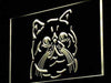 Exotic Shorthair Cat LED Light Sign - Way Up Gifts