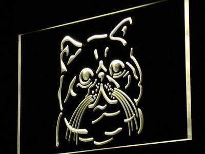 Exotic Shorthair Cat LED Light Sign - Way Up Gifts