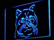 Exotic Shorthair Cat LED Light Sign - LED Gift Works