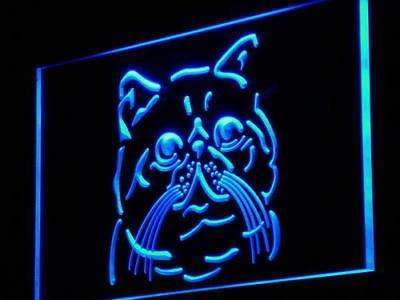 Exotic Shorthair Cat LED Light Sign - LED Gift Works