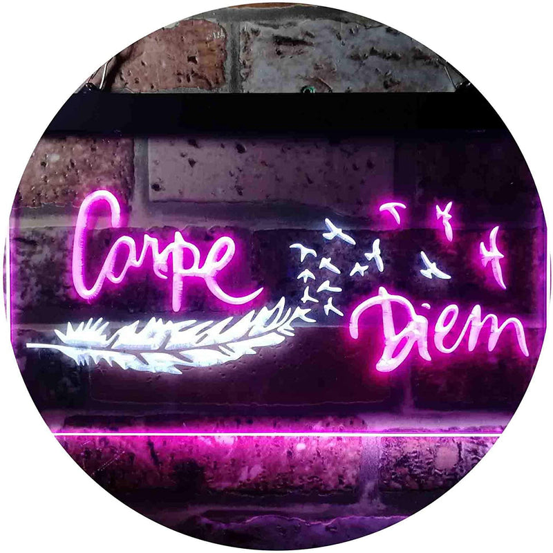 Carpe Diem Seize The Day LED Light Sign - LED Gift Works