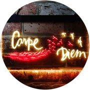 Carpe Diem Seize The Day LED Light Sign - LED Gift Works