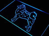 Finnish Spitz LED Light Sign - Way Up Gifts