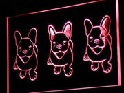 French Bulldog Puppies LED Light Sign - LED Gift Works